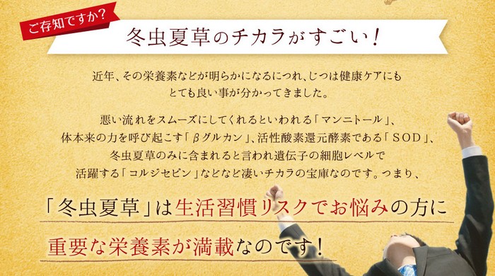 冬虫夏草1200サプリ